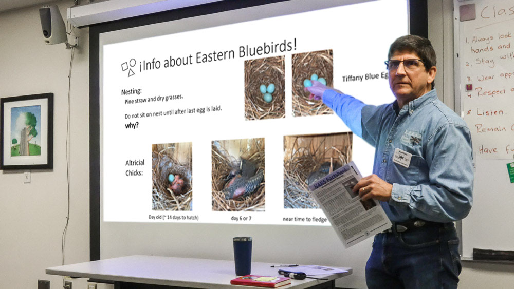 A person is giving a presentation.