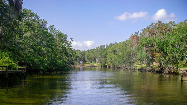 A serene river with trees lining its banks
