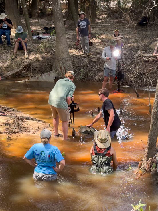 A film crew and researchers stand in and around a body of water while one person holds a turtle.