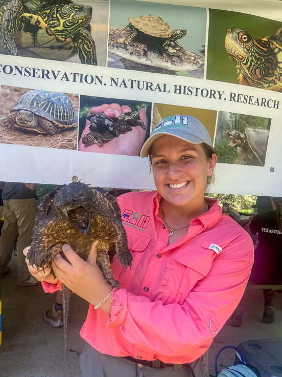 A person holds a juvrnile alligator snapping turtle.