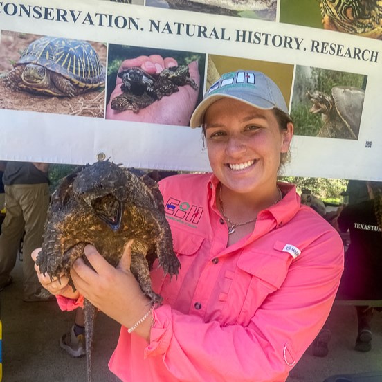 A person holds a juvenile alligator snapping turtle.