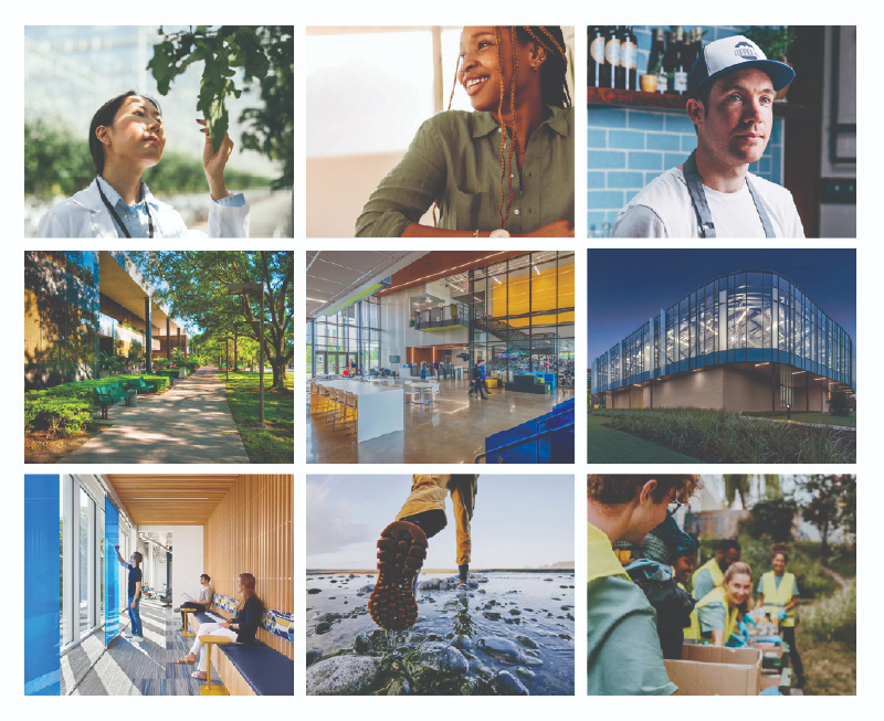 Photography Examples