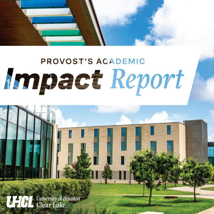 Provost's 2024-2025 Academic Impact Report Cover